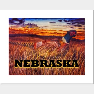 Nebraska Pheasant Posters and Art